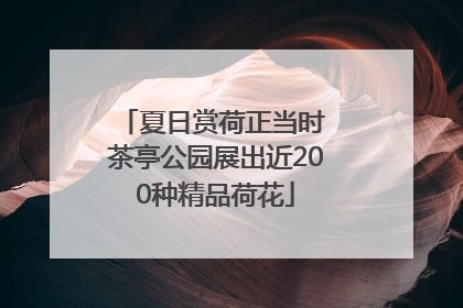 夏日赏荷正当时 茶亭公园展出近200种精品荷花