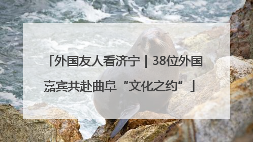 外国友人看济宁｜38位外国嘉宾共赴曲阜“文化之约”