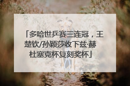多哈世乒赛三连冠，王楚钦/孙颖莎收下兹·赫杜塞克杯复刻奖杯