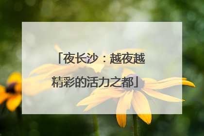 夜长沙：越夜越精彩的活力之都