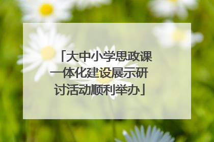 大中小学思政课一体化建设展示研讨活动顺利举办