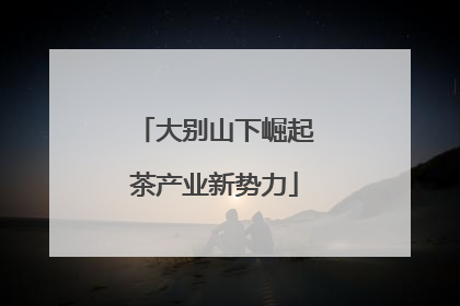 大别山下崛起茶产业新势力
