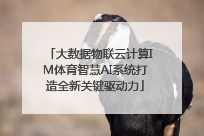 大数据物联云计算IM体育智慧AI系统打造全新关键驱动力