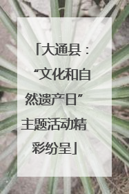 大通县：“文化和自然遗产日”主题活动精彩纷呈