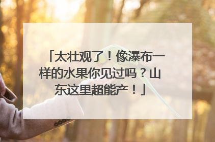 太壮观了！像瀑布一样的水果你见过吗？山东这里超能产！