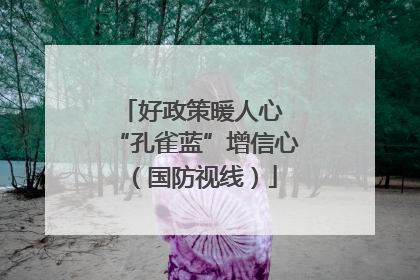 好政策暖人心 “孔雀蓝”增信心（国防视线）