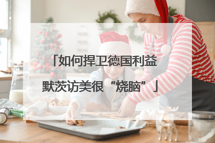 如何捍卫德国利益 默茨访美很“烧脑”