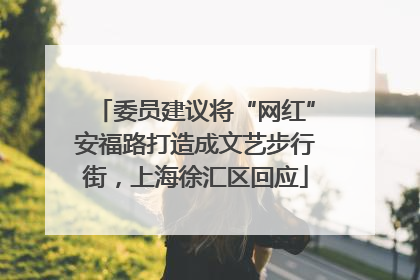 委员建议将“网红”安福路打造成文艺步行街，上海徐汇区回应