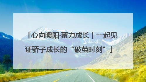 心向暖阳·聚力成长｜一起见证骄子成长的“破茧时刻”