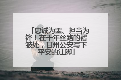 忠诚为墨、担当为锋！在千年丝路的褶皱处，甘州公安写下平安的注脚