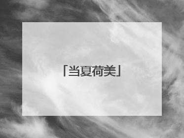 当夏荷美