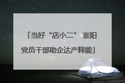 当好“店小二” 襄阳党员干部助企达产释能