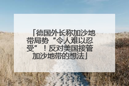 德国外长称加沙地带局势“令人难以忍受”！反对美国接管加沙地带的想法