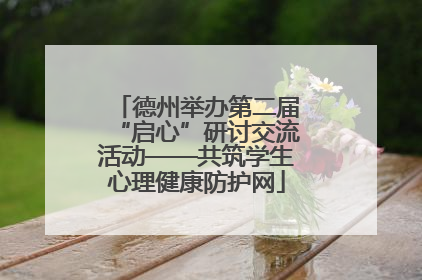 德州举办第二届“启心”研讨交流活动——共筑学生心理健康防护网