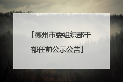 德州市委组织部干部任前公示公告