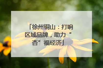 徐州铜山：打响区域品牌，助力“杏”福经济