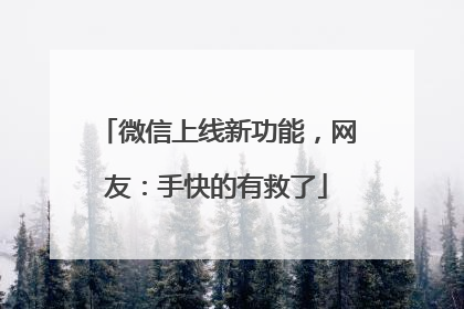 微信上线新功能，网友：手快的有救了
