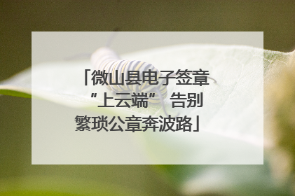 微山县电子签章“上云端” 告别繁琐公章奔波路