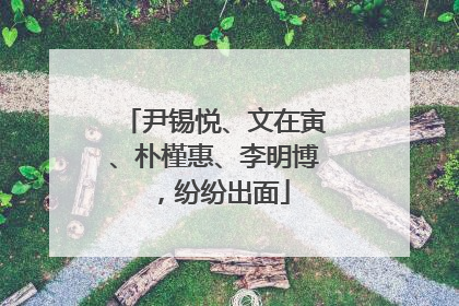 尹锡悦、文在寅、朴槿惠、李明博，纷纷出面