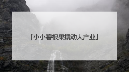 小小碧根果撬动大产业