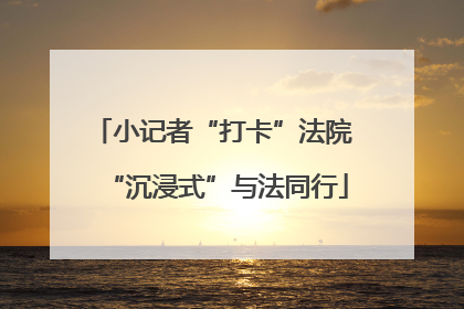 小记者“打卡”法院 “沉浸式”与法同行