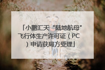 小鹏汇天“陆地航母”飞行体生产许可证（PC）申请获局方受理