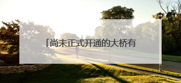 尚未正式开通的大桥有人开车上桥打卡，安徽铜陵官方回应：不服管劝擅自进入，已采取措施