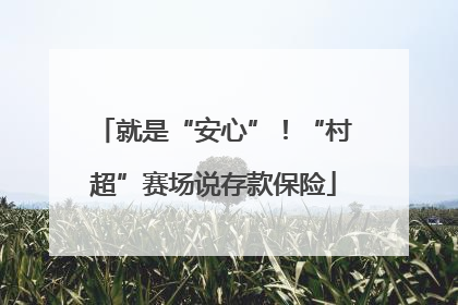 就是“安心”！“村超”赛场说存款保险