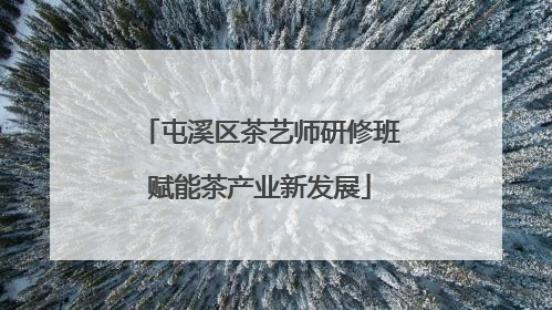 屯溪区茶艺师研修班赋能茶产业新发展