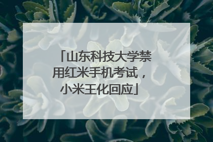 山东科技大学禁用红米手机考试，小米王化回应