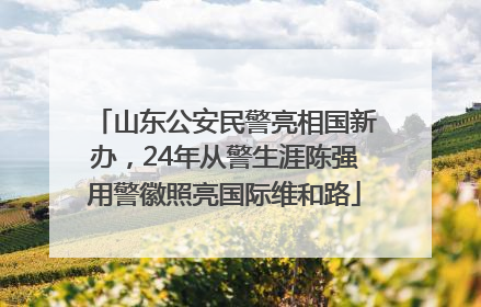 山东公安民警亮相国新办，24年从警生涯陈强用警徽照亮国际维和路