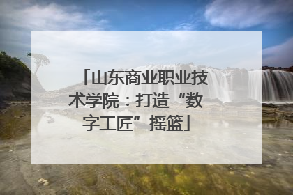山东商业职业技术学院：打造“数字工匠”摇篮