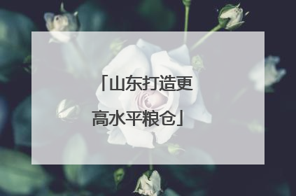 山东打造更高水平粮仓