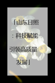 山东日照：科技赋能引领高质量发展