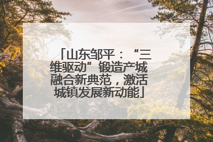 山东邹平：“三维驱动”锻造产城融合新典范，激活城镇发展新动能