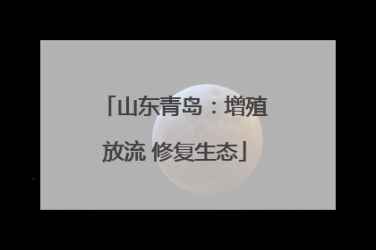 山东青岛：增殖放流 修复生态