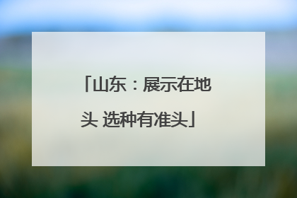 山东：展示在地头 选种有准头