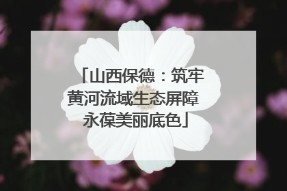 山西保德：筑牢黄河流域生态屏障 永葆美丽底色