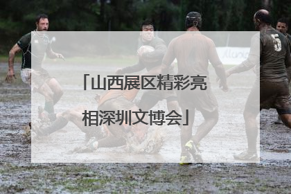 山西展区精彩亮相深圳文博会