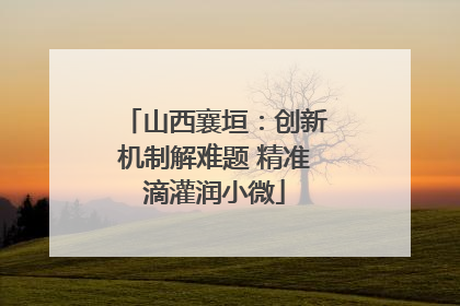 山西襄垣：创新机制解难题 精准滴灌润小微
