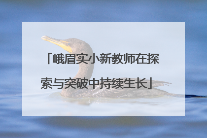 峨眉实小新教师在探索与突破中持续生长