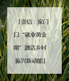 崇信：家门口“就业黄金期”激活乡村振兴新动能