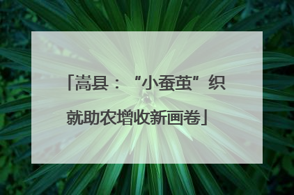 嵩县：“小蚕茧”织就助农增收新画卷