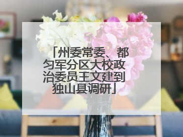 州委常委、都匀军分区大校政治委员王文建到独山县调研