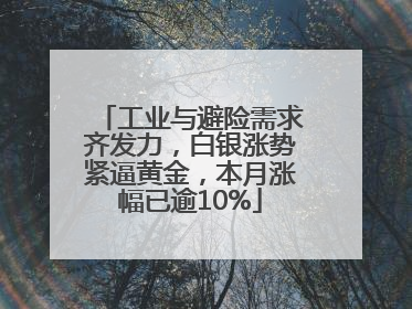 工业与避险需求齐发力，白银涨势紧逼黄金，本月涨幅已逾10%