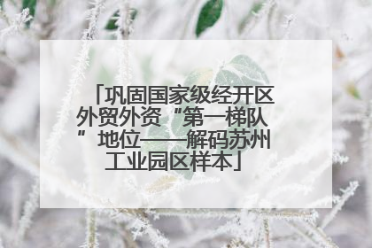 巩固国家级经开区外贸外资“第一梯队”地位——解码苏州工业园区样本