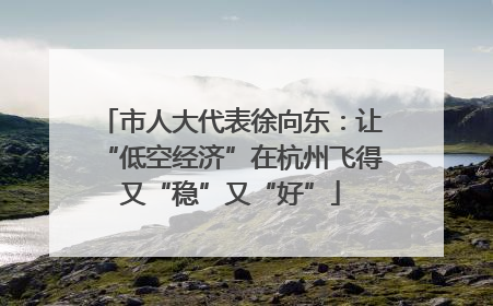 市人大代表徐向东：让“低空经济”在杭州飞得又“稳”又“好”