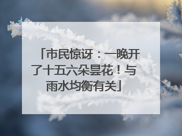 市民惊讶：一晚开了十五六朵昙花！与雨水均衡有关