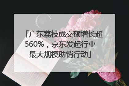 广东荔枝成交额增长超560%，京东发起行业最大规模助销行动