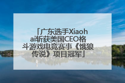 广东选手Xiaohai斩获美国CEO格斗游戏电竞赛事《饿狼传说》项目冠军